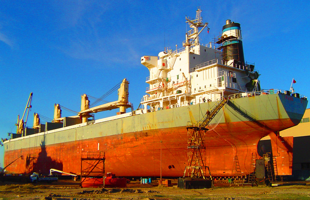 Docking Surveys